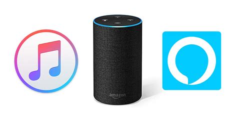 How to Add Apple Music to Alexa: A Symphony of Convenience and Chaos