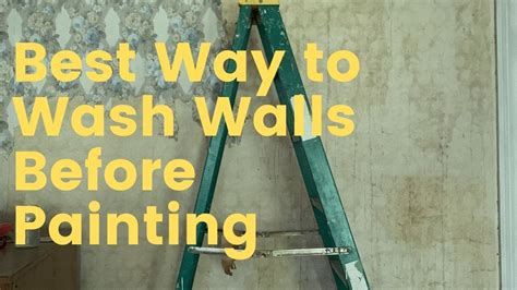 Should Walls Be Washed Before Painting: A Dive into the Chaos of Cleanliness and Creativity