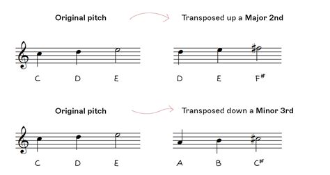 Transposition Music Definition: A Symphony of Shifting Perspectives